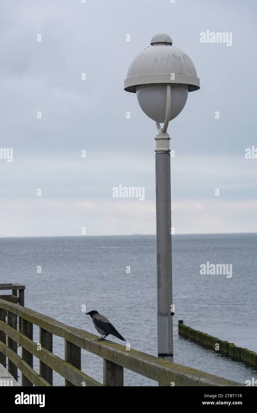 Germany, Mecklenburg-Western Pomerania, Usedom Island, pier, railing, fog crow, lantern in front of cloudy sky Stock Photo