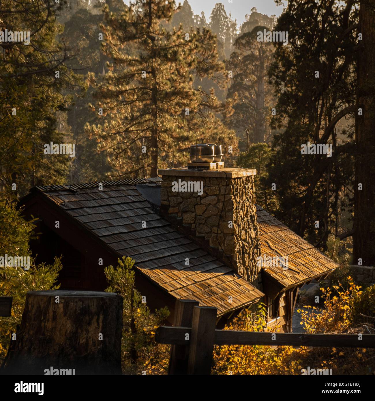 A little cottage sitting alone in a west coast forest at golden hour Stock Photo
