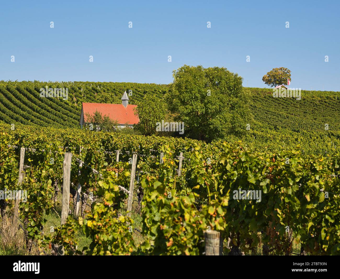 Small chapel in the vineyards on the wine island near Sommerach on the
