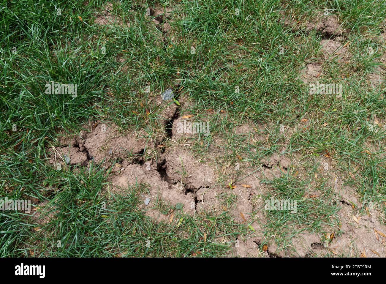 Dry cracks in the ground Stock Photo