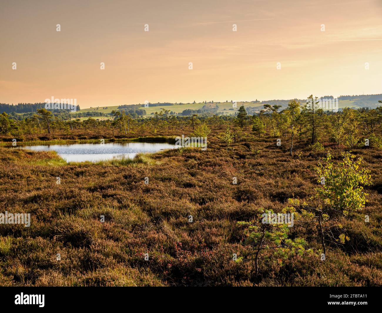 The Schwarzes Moor nature reserve in the evening light, Rhön Biosphere Reserve, Lower Franconia, Franconia, Bavaria, Germany Stock Photo