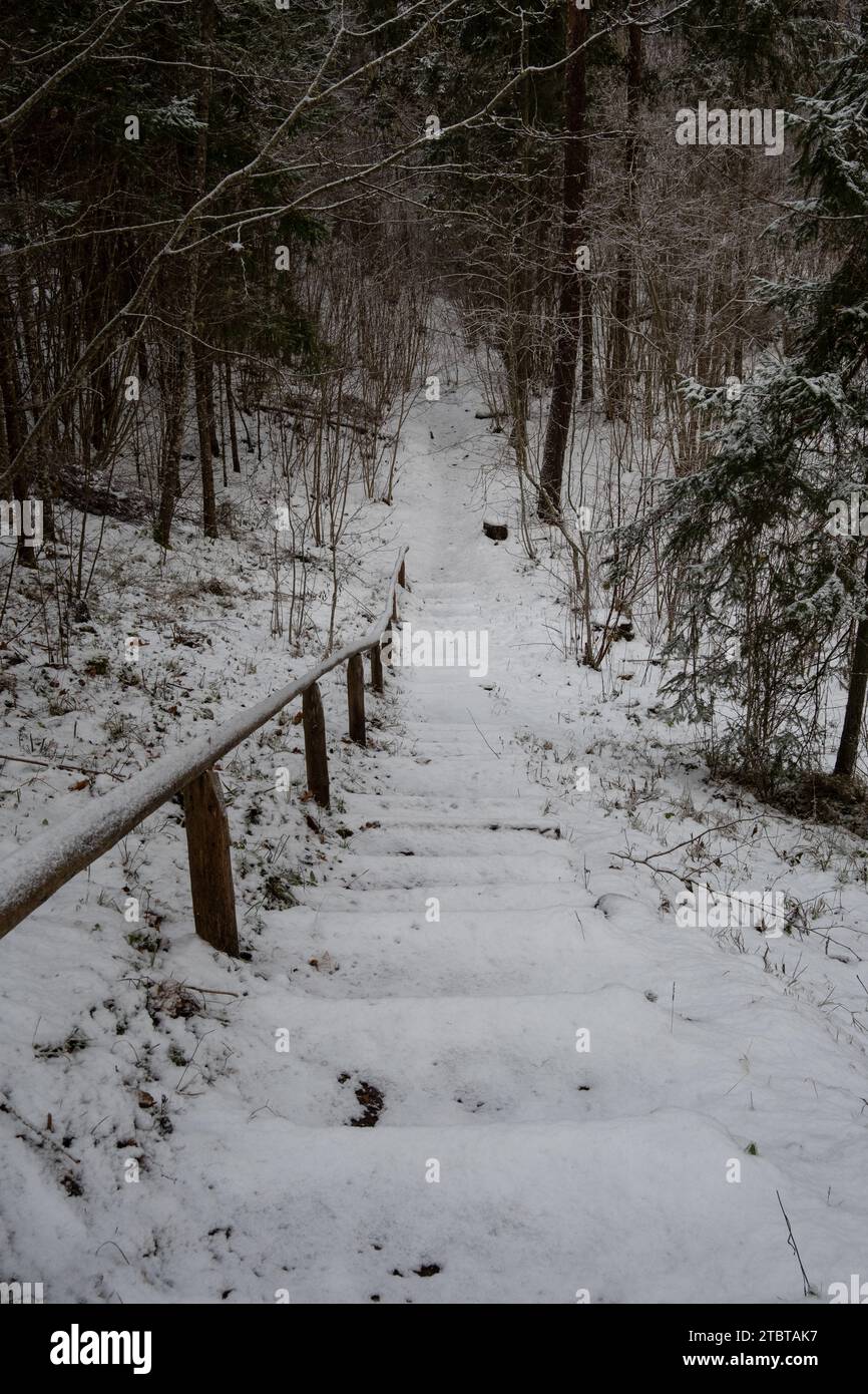 Snow-draped wooden stairs guide upward, offering a passage through the ...
