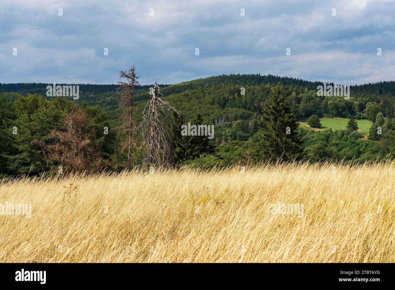 The platzer kuppe in the schwarze berge nature reserve hires stock