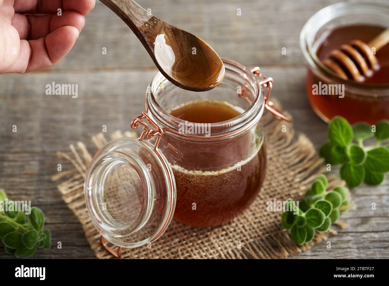 Homemade Plectranthus amboinicus syrup for common cold Stock Photo