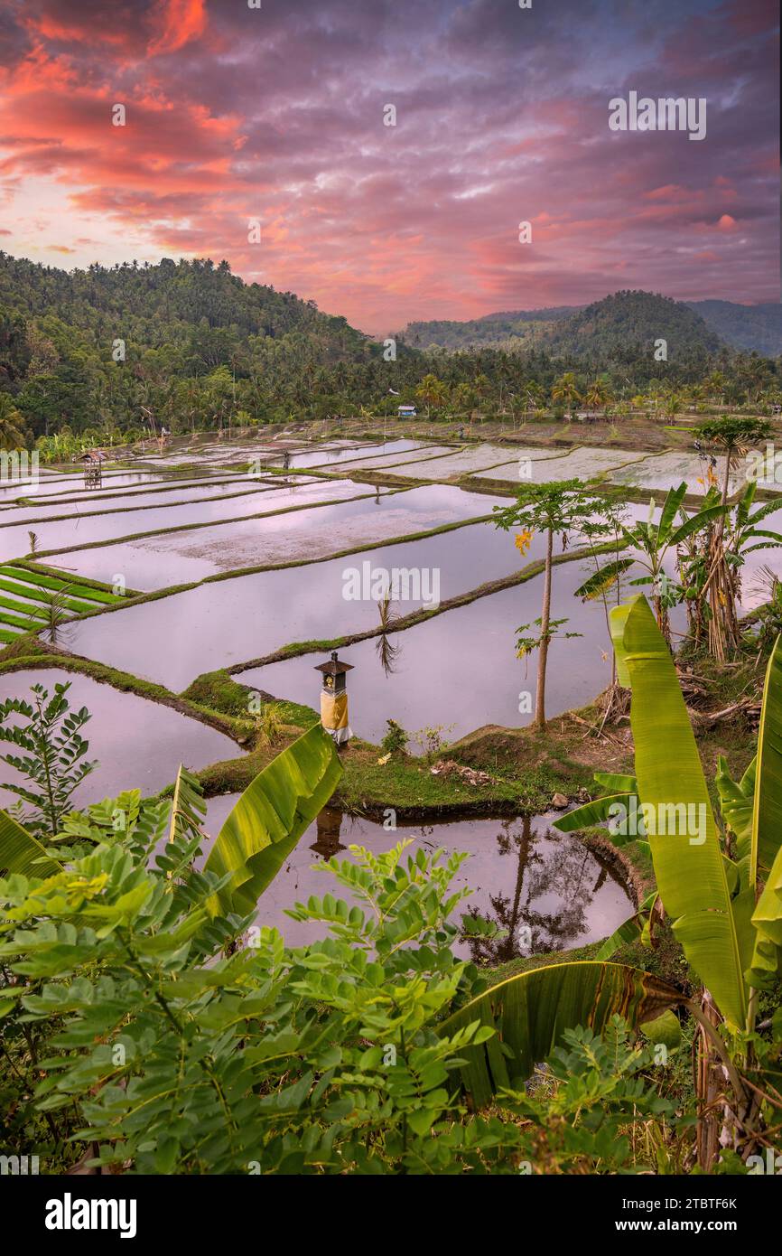 The magical rice terraces in the evening, here you can see the unique