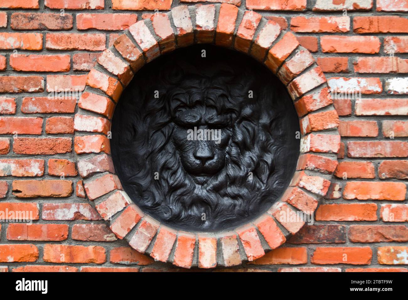 Black Lion Head Sculpture on Circular Brick Wall in Louisville Stock Photo