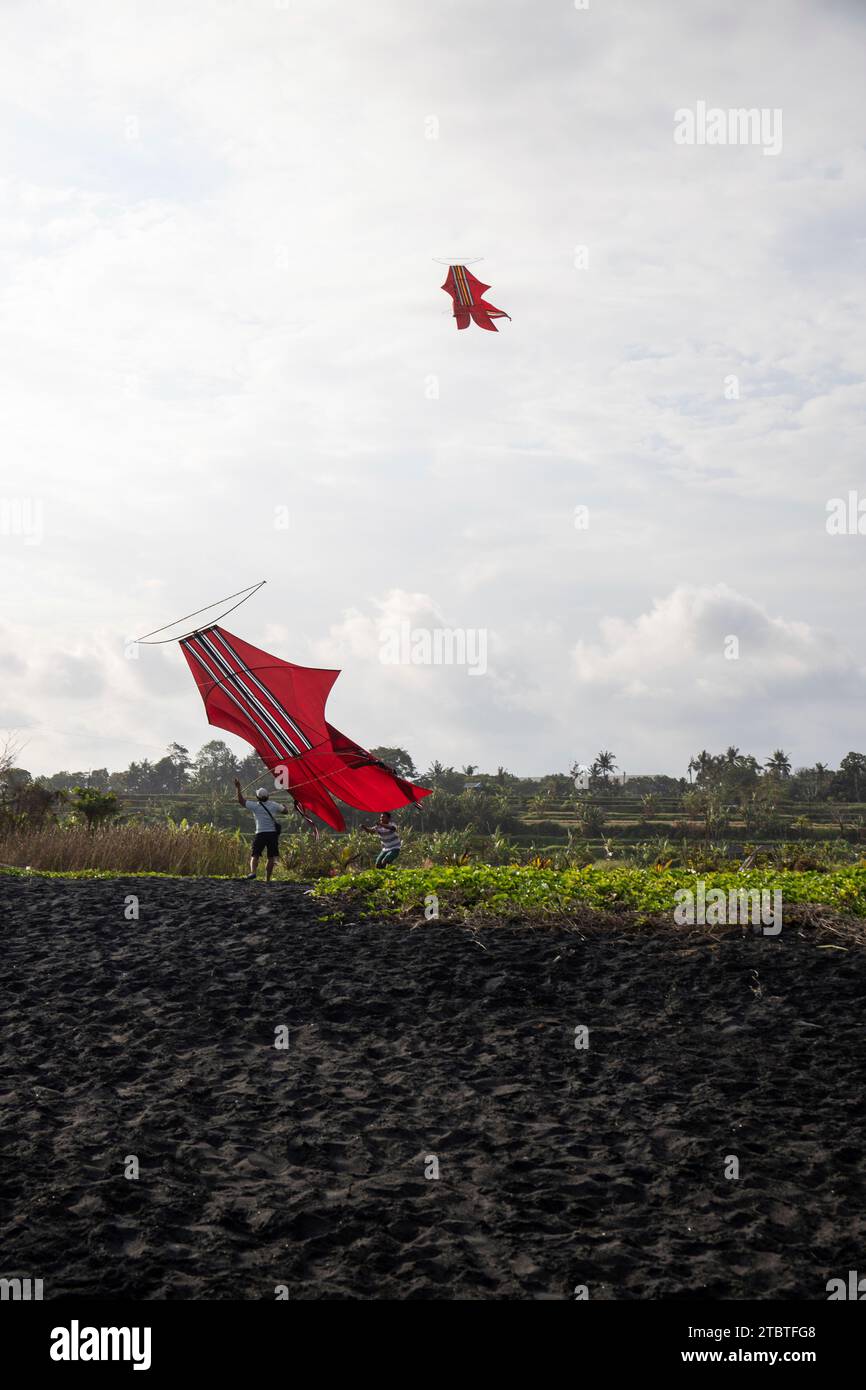 Traditional flying kites in the sky, beautiful tropical landscape in
