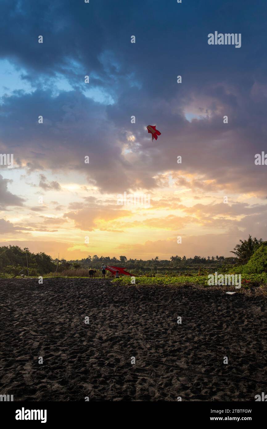 Traditional flying kites in the sky, beautiful tropical landscape in