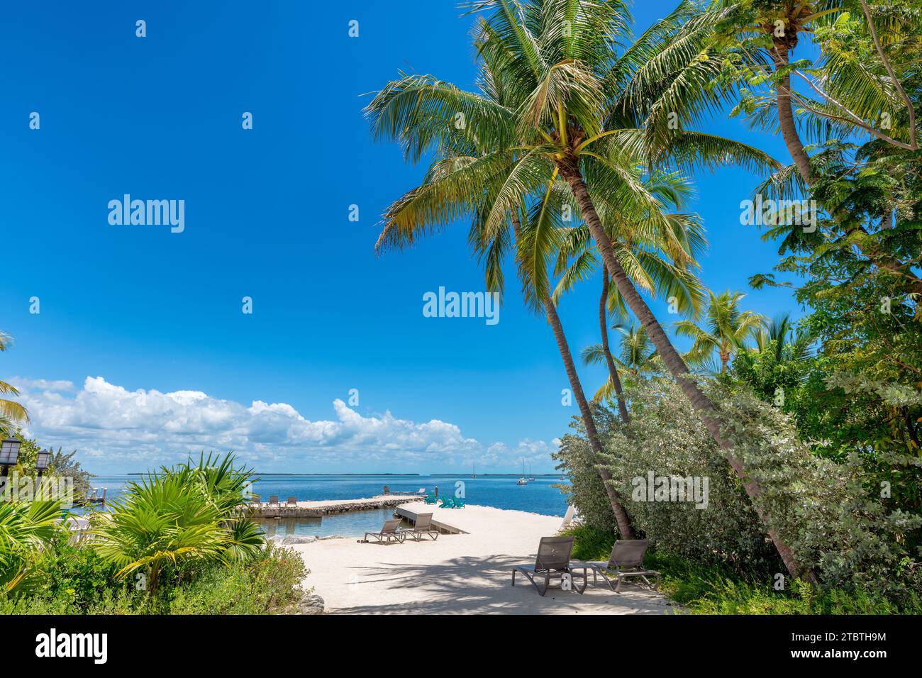 Beautiful beach in tropical island resort, Key Largo. Florida Stock Photo