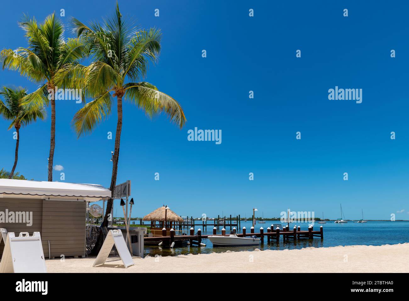 Beautiful beach in tropical island resort, Key Largo. Florida Stock