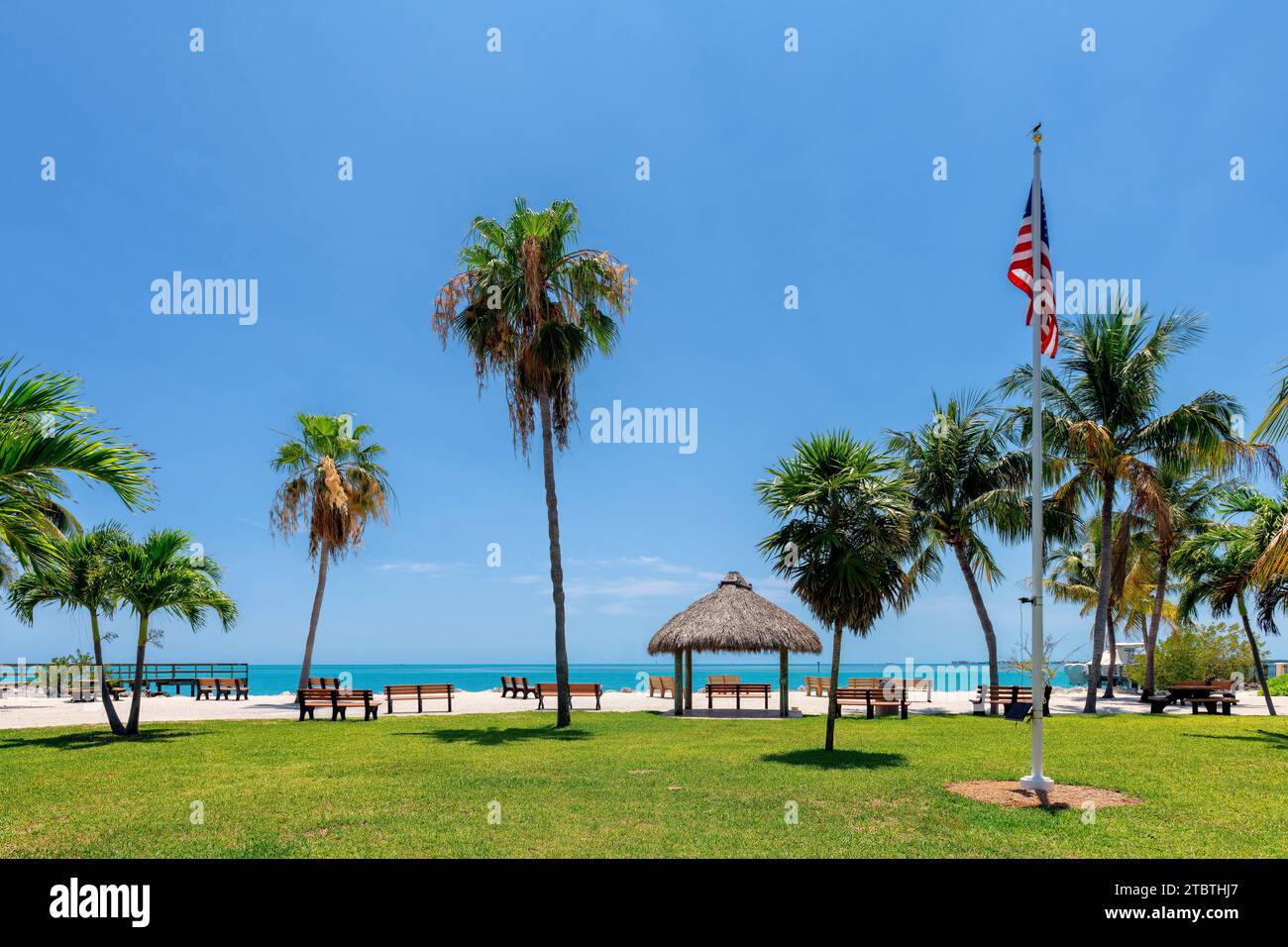 Palm trees in beach state park in tropical island in Key Largo, Florida Stock Photo