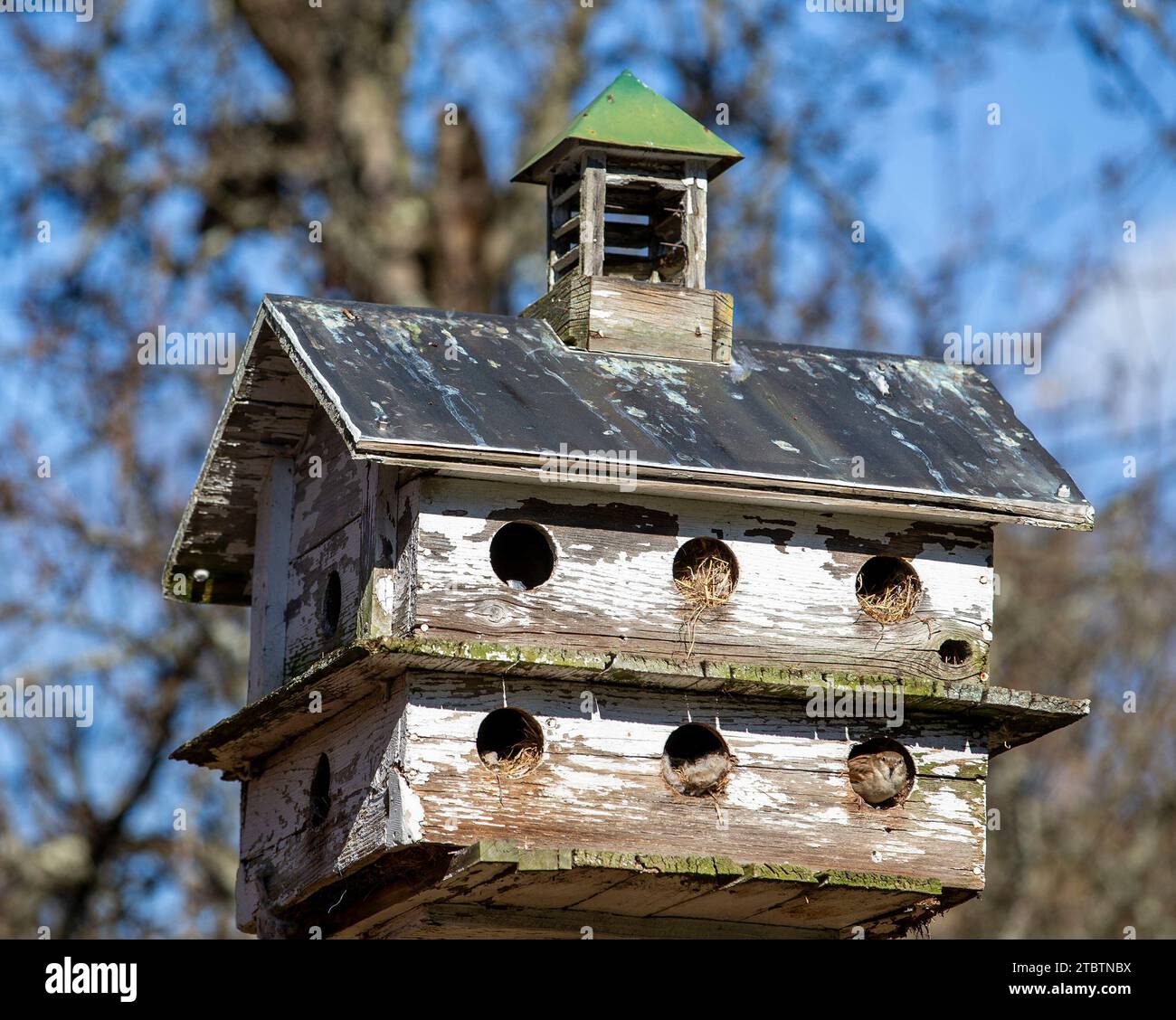 A large birdhouse with many openings for birds Stock Photo