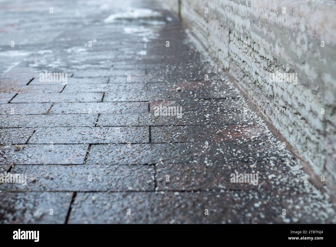 Deicing chemicals on pavement in winter. Salt grains on icy sidewalk