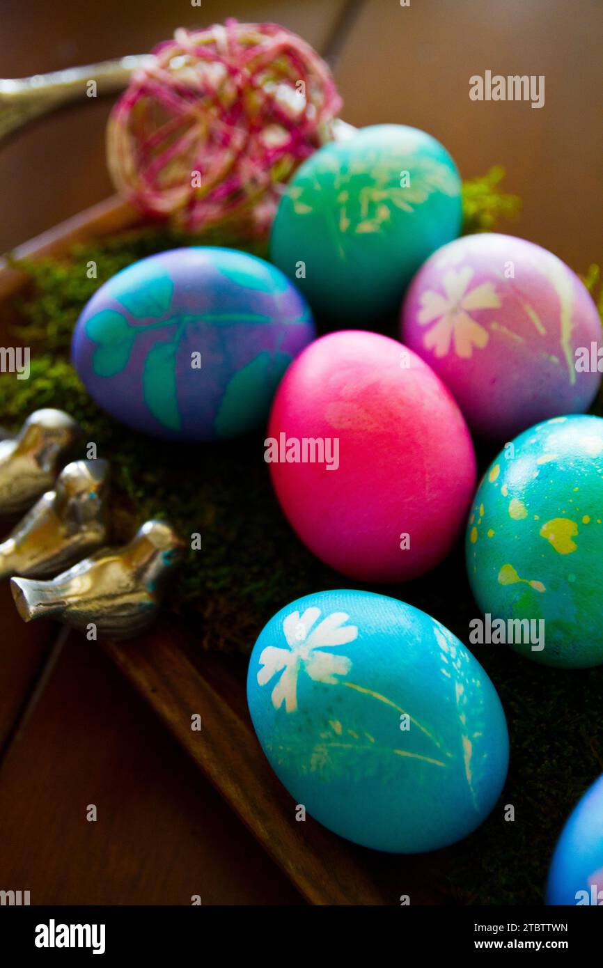 Vibrant Easter Eggs on Moss Bed with Soft Indoor Lighting Stock Photo