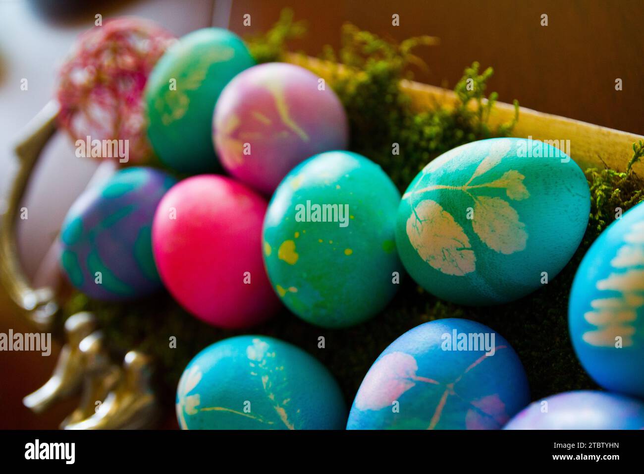 Colorful Easter Eggs in Moss with Botanical Prints Close-Up Stock Photo