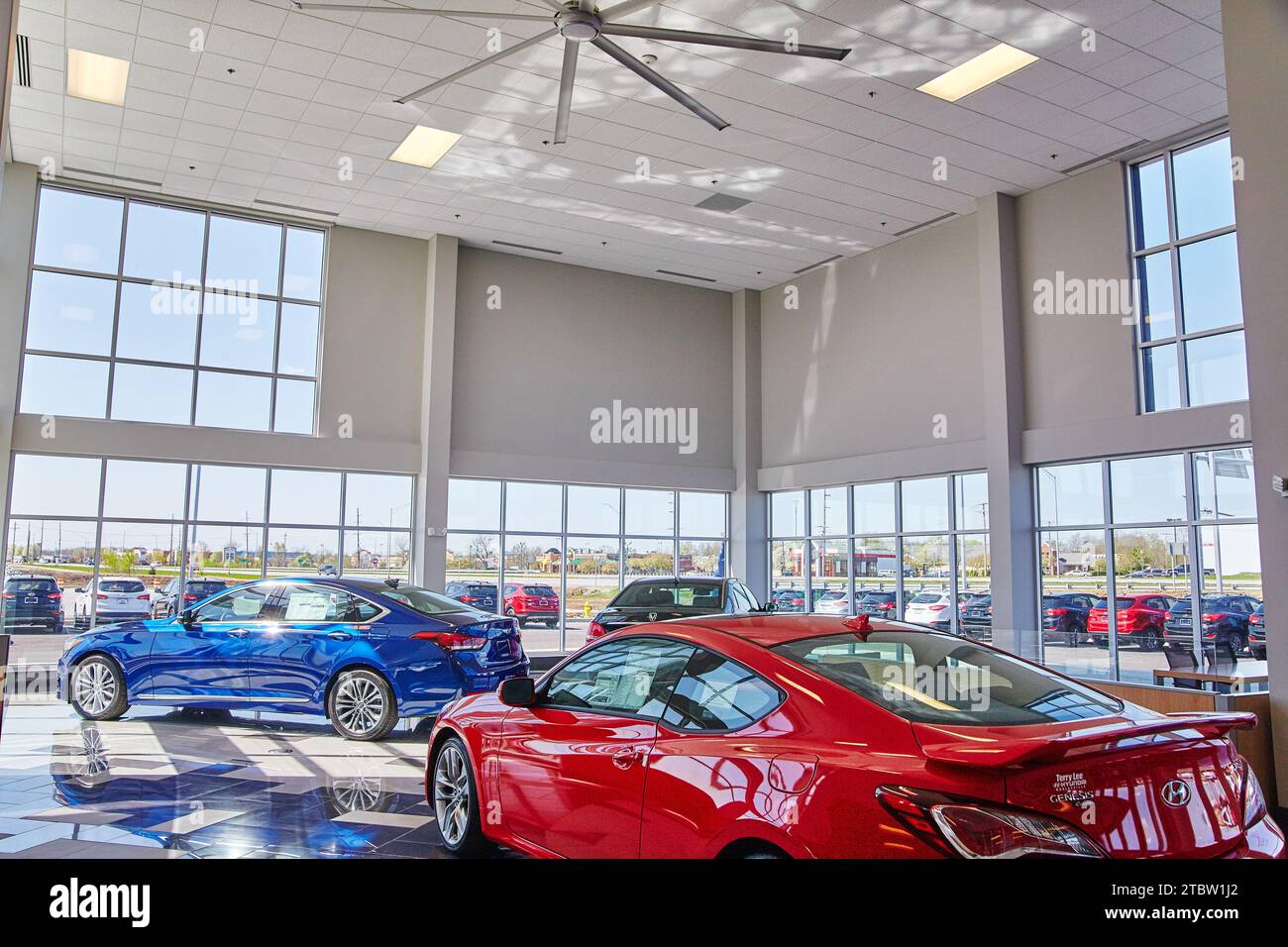 Luxurious Car Dealership Showroom with Blue Sedan and Red Coupe in Indiana Stock Photo