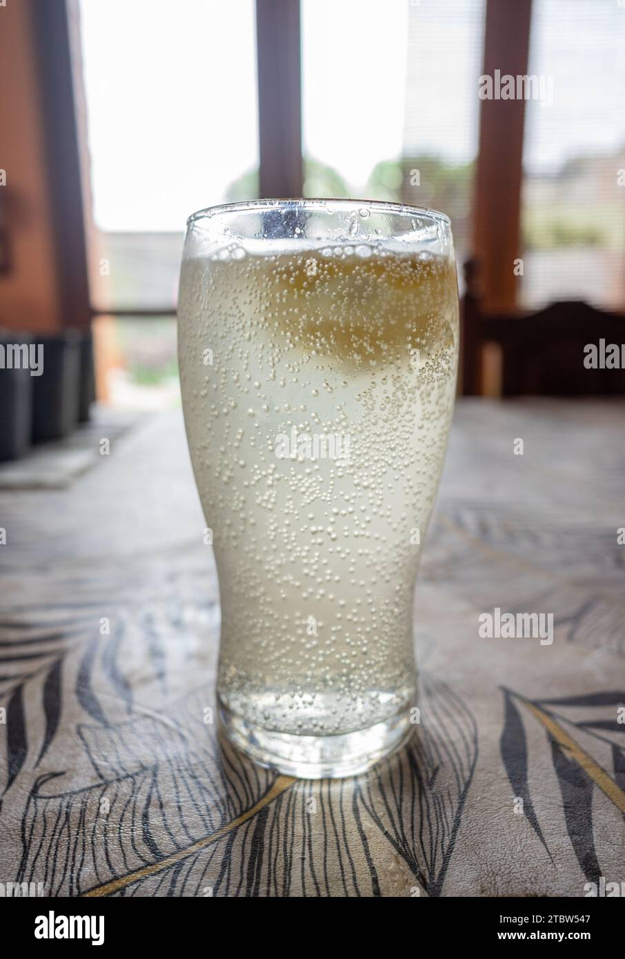 glass of soda with lemon (gancia) Stock Photo
