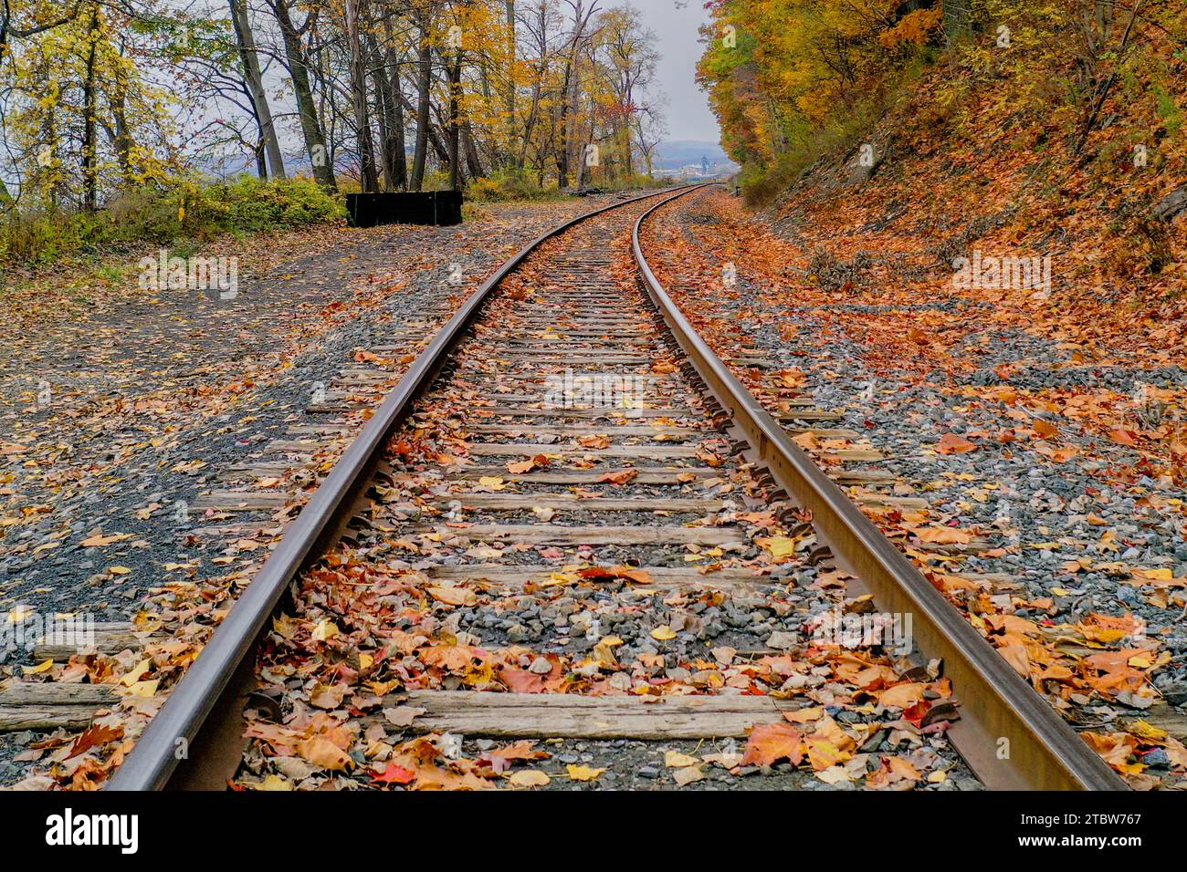 Leaves falling down hi-res stock photography and images - Alamy