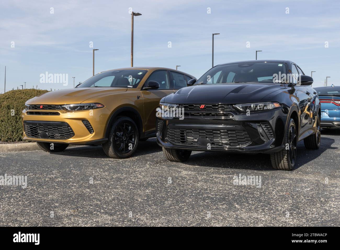Indianapolis - December 7, 2023: Dodge Hornet display at a dealership. Dodge offers the Hornet in R/T, GT, and Plus models. Stock Photo