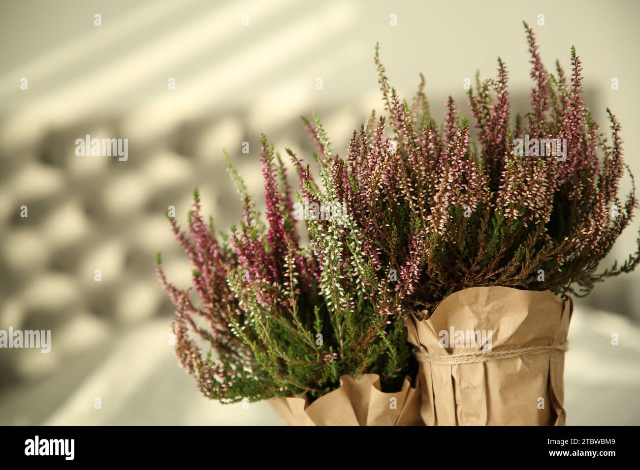 Beautiful heather flowers in pots against blurred background, closeup Stock Photo