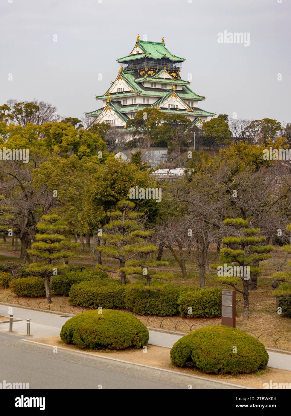 A picture of the Osaka Castle Park with the actual castle seen in the top above the trees Stock Photo