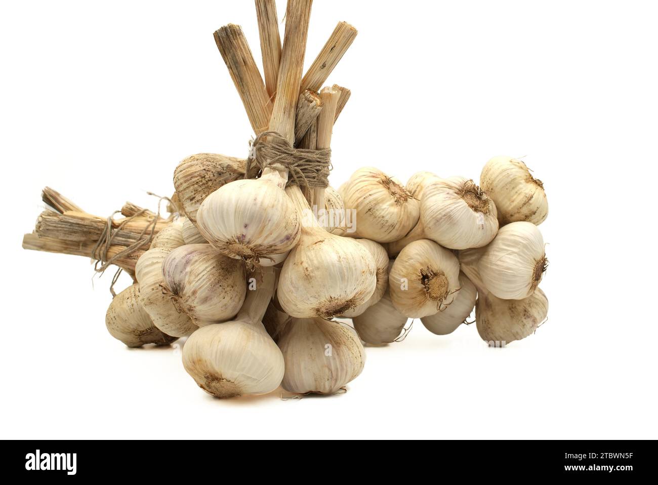 Braided garlic bulbs bonded with jute rope ready for storage isolated ...