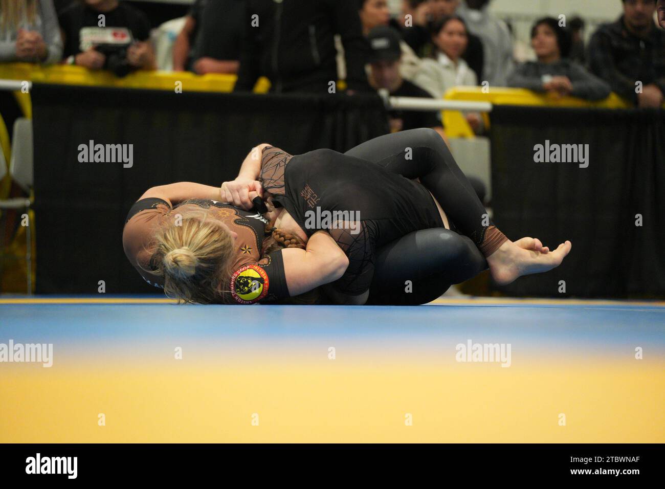 Las Vegas, Nevada, USA. 7th Dec, 2023. Miranda Maverick attempts submission at IBJJF WORLDS NO-GI 2023 at Las Vegas Convention Center in Las Vegas, Nevada, USA. (Photo by Marcelo Woo; Px Images) (Credit Image: © Marcelo Woo; Px Images/PX Imagens via ZUMA Press Wire) EDITORIAL USAGE ONLY! Not for Commercial USAGE! Stock Photo