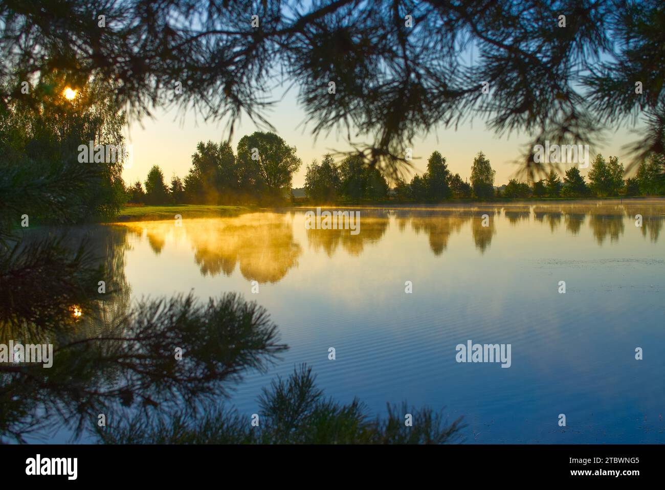 Reflection leafy green trees hi-res stock photography and images - Alamy
