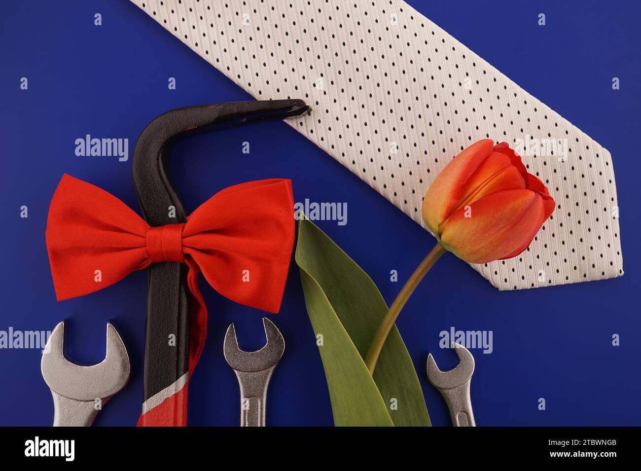 Crowbar tied with a red bow, spanners, necktie and tulip over a blue background and free copy space for your greeting Stock Photo