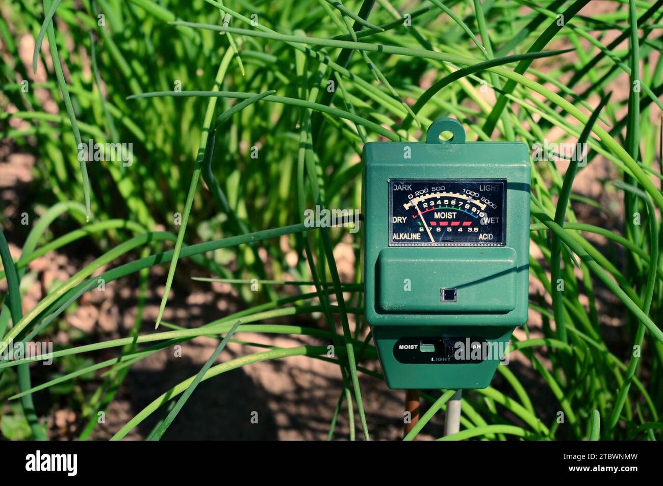 Measure soil pH level, moisture content, light amount for plants, flowers, vegetable gardens and lawns Stock Photo