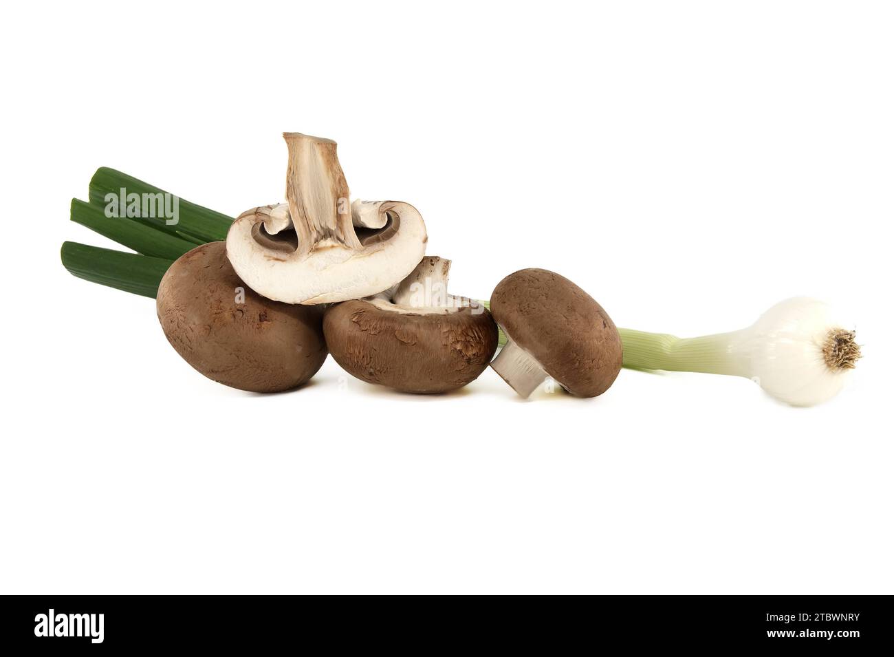 Fresh whole brown (Baby Bella) mushrooms and green onions isolated on a white background Stock Photo