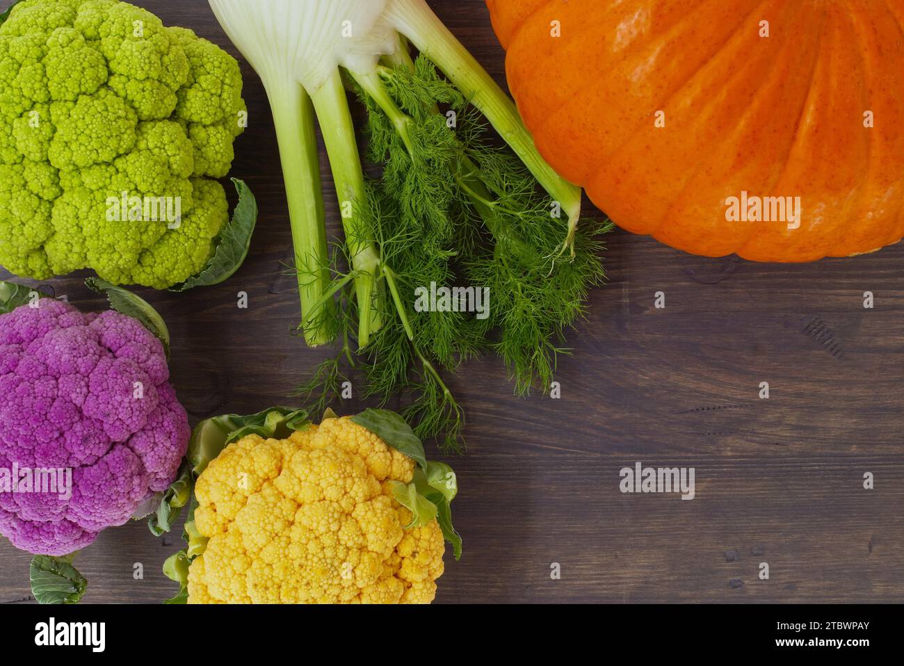 Side border with assorted varieties and colors of tomatoes in a