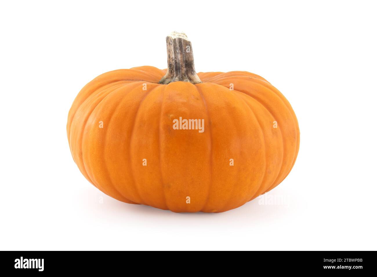 Orange pumpkin isolated on white background Stock Photo - Alamy