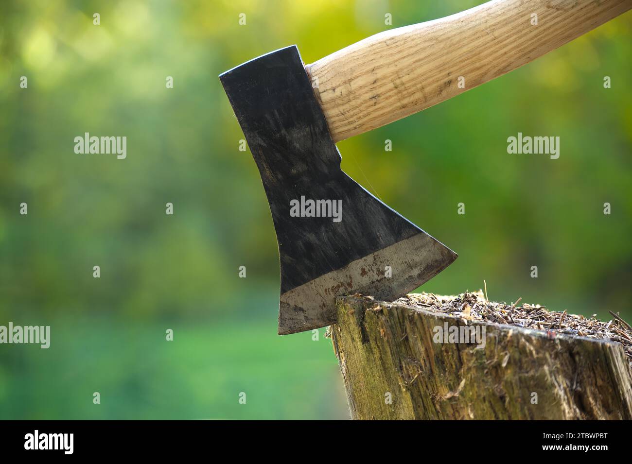 Axe or chopper stuck in a moss covered log of wood in a forest, close up side view. Conceptual of outdoor lifestyle or camping Stock Photo