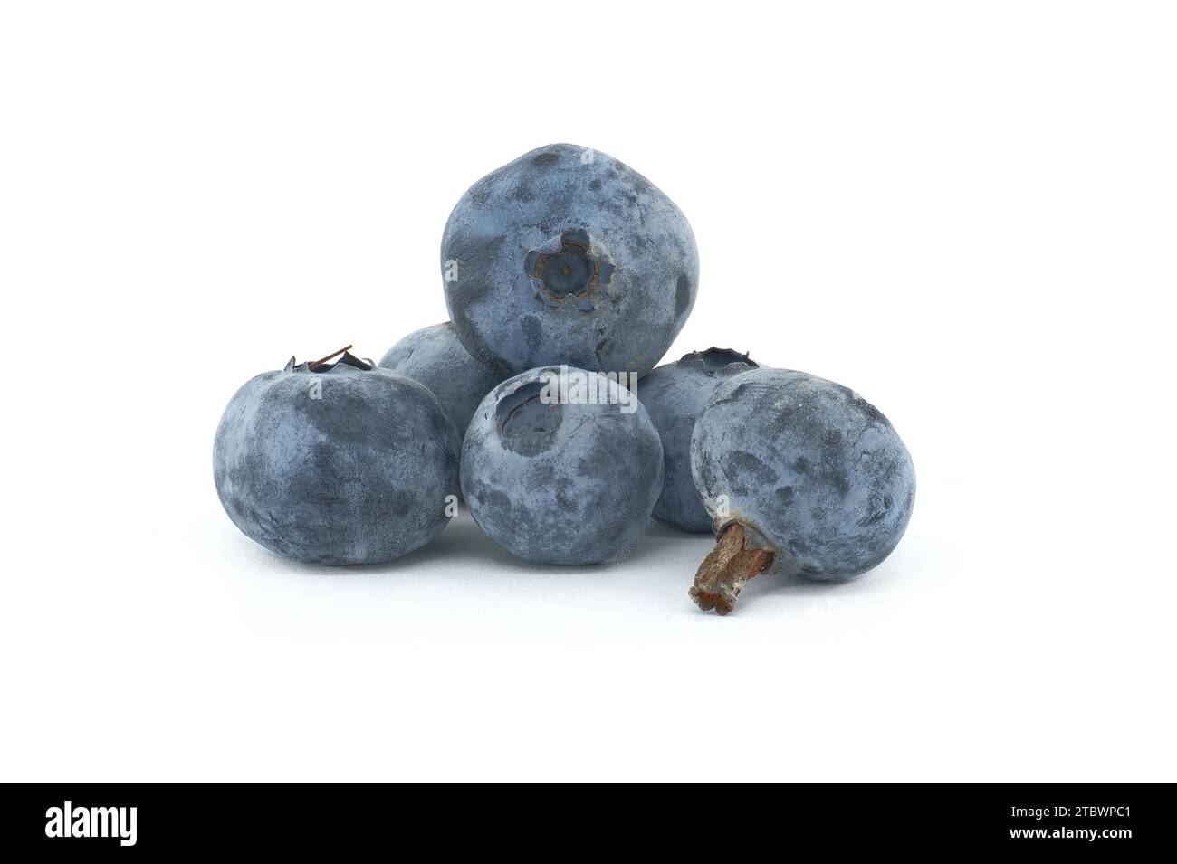 Fresh blueberry isolated on white background, full depth of field Stock Photo
