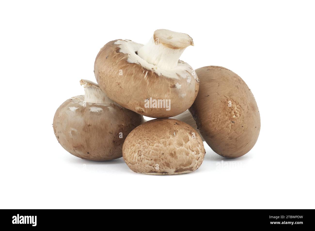 Fresh Baby Bella or Cremini whole mushrooms isolated on white