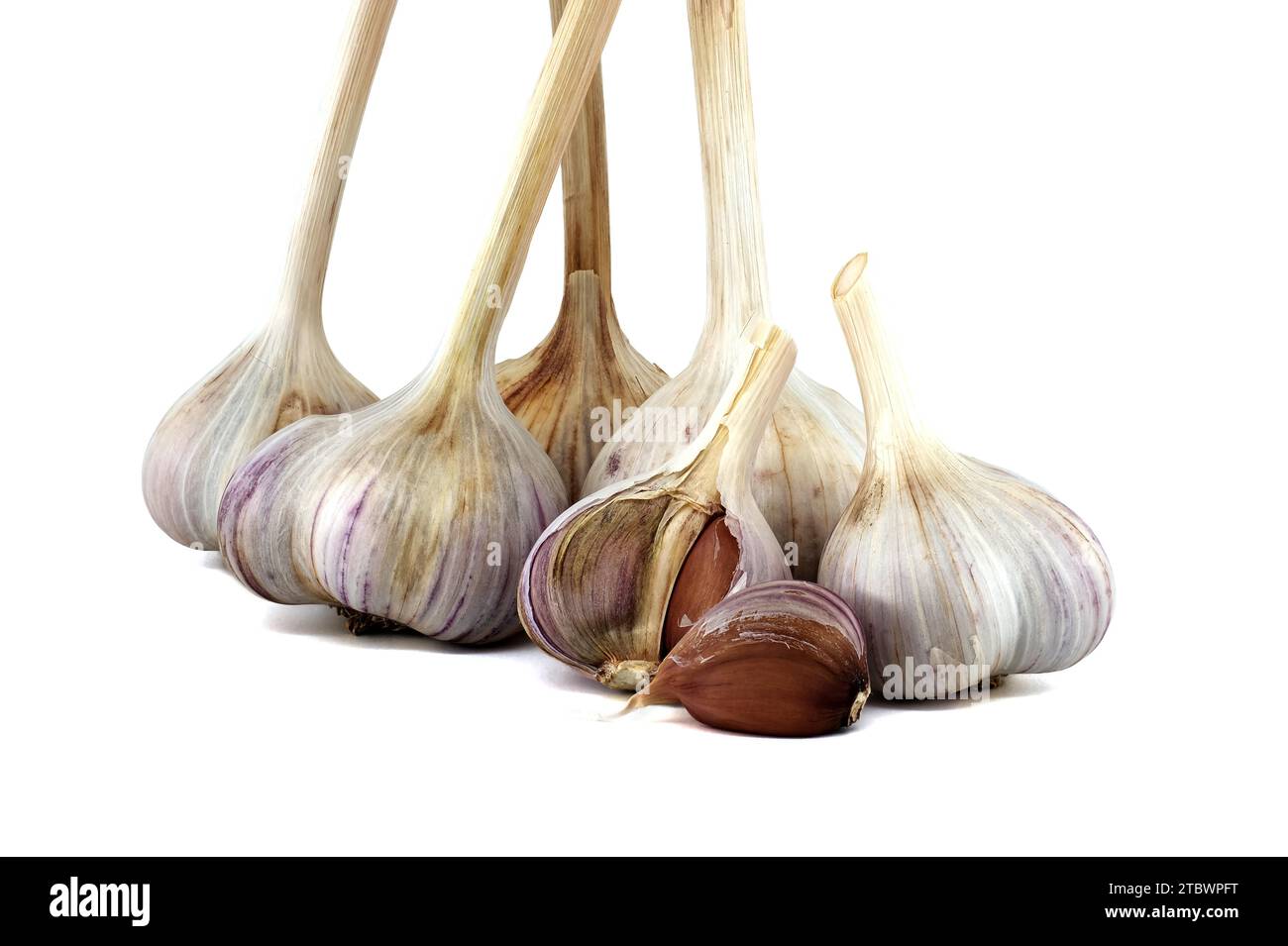 Garlic bulbs and cloves in close-up isolated on white background Stock ...