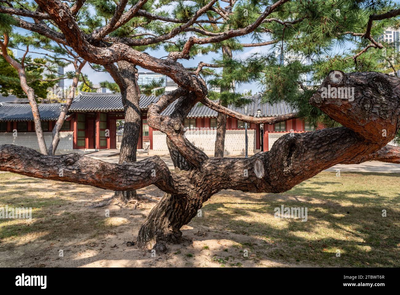 Deoksugung royal palace of Joseon dynasty in Seoul South Korea on 25 October 2023 Stock Photo