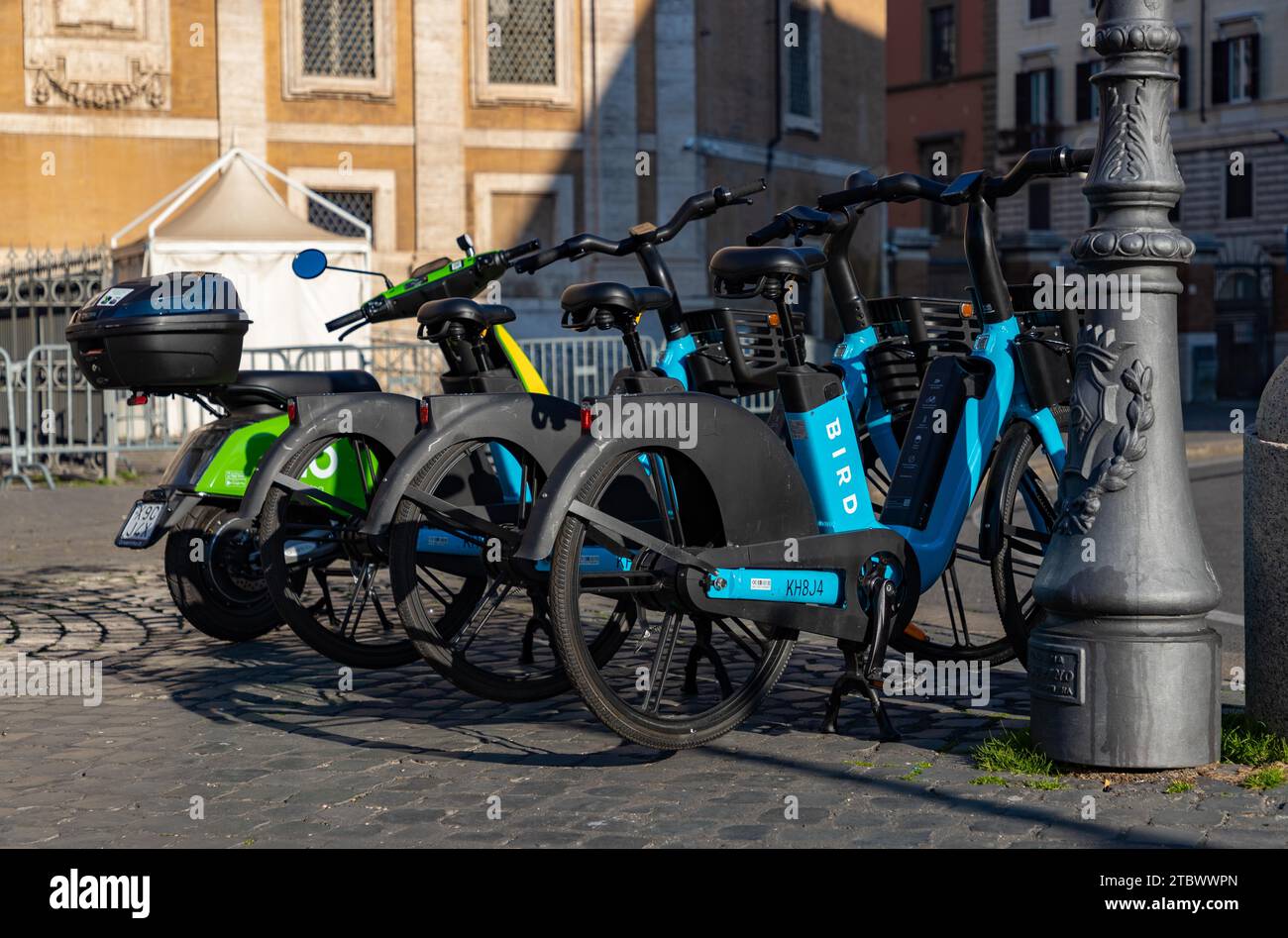 A picture of a group of electric bicycles of the brand Bird Stock Photo