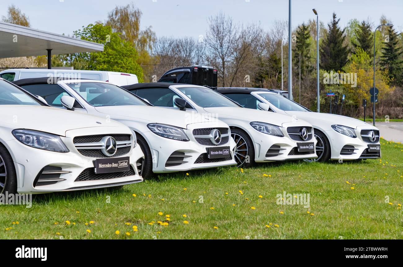 A picture of a row of white vehicles at a Mercedes Benz car dealership