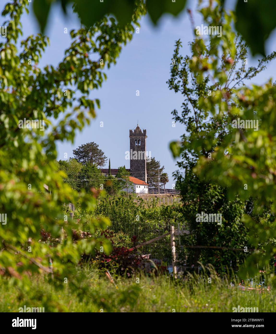 A picture of the tower of the Saint Cross Church as seen from nearby greenery (Kojsko) (Slovenia) Stock Photo