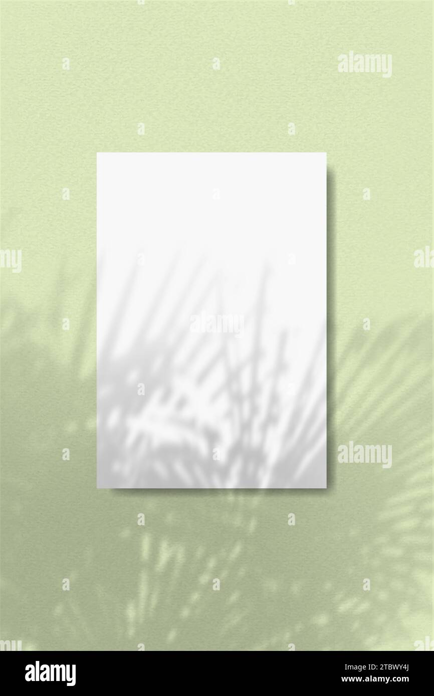An arch-shaped sheet of white paper on a green wall background. Overlay ...