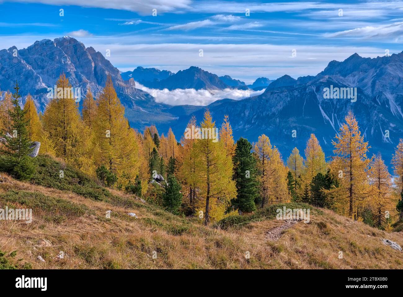 Raised Ridge Tree Green landscape ridges tree hi-res stock photography and images - Alamy