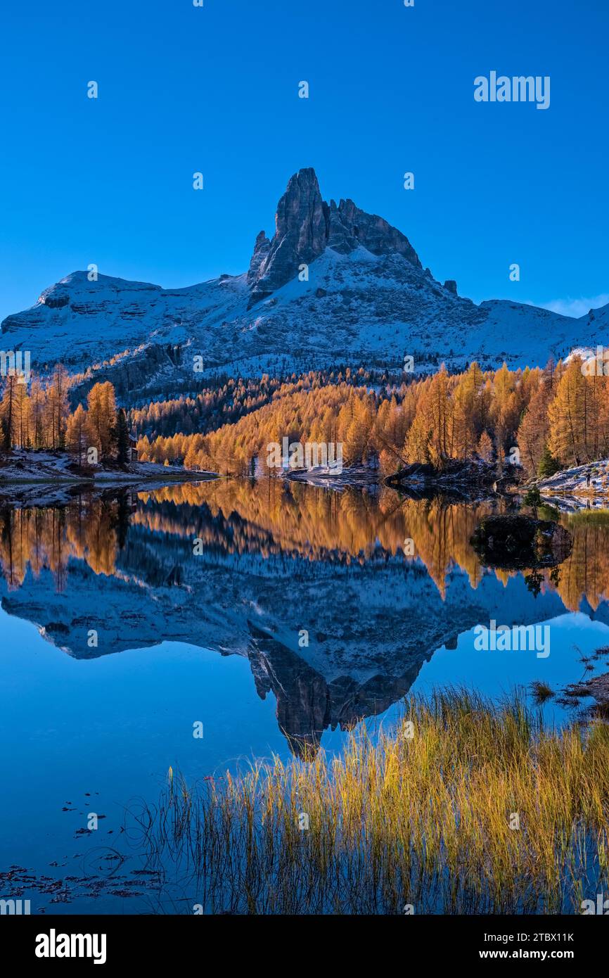 Autumn Scenery On Lake Lago Federa With Yellow Larches And The Mountain autumn-scenery-on-lake-lago-federa-with-yellow-larches-and-the-mountain