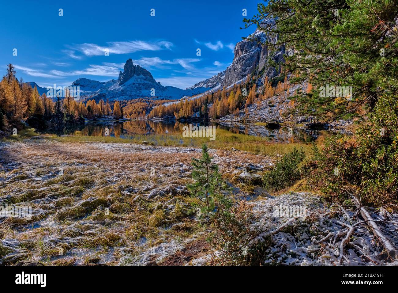 Autumn scenery on lake Lago Federa with yellow larches and the mountain Becco di Mezzodi. Stock Photo