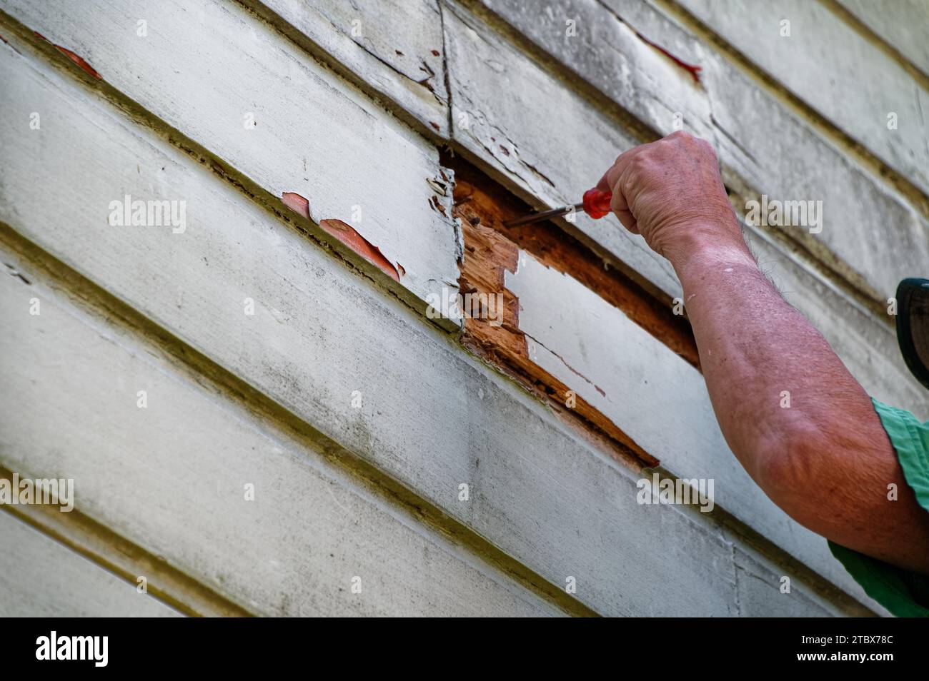 Preparation work before painting, this weatherboard will have to be