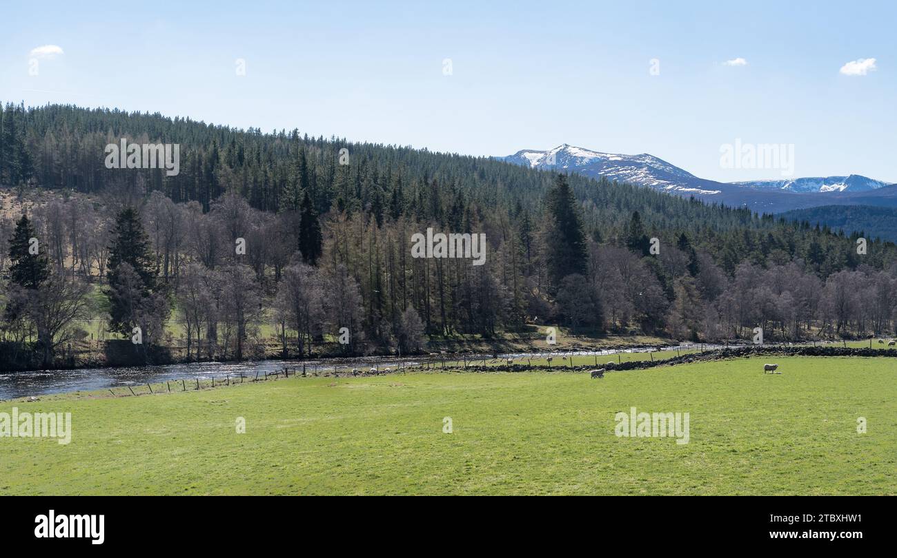 Lochnagar snow hi-res stock photography and images - Alamy