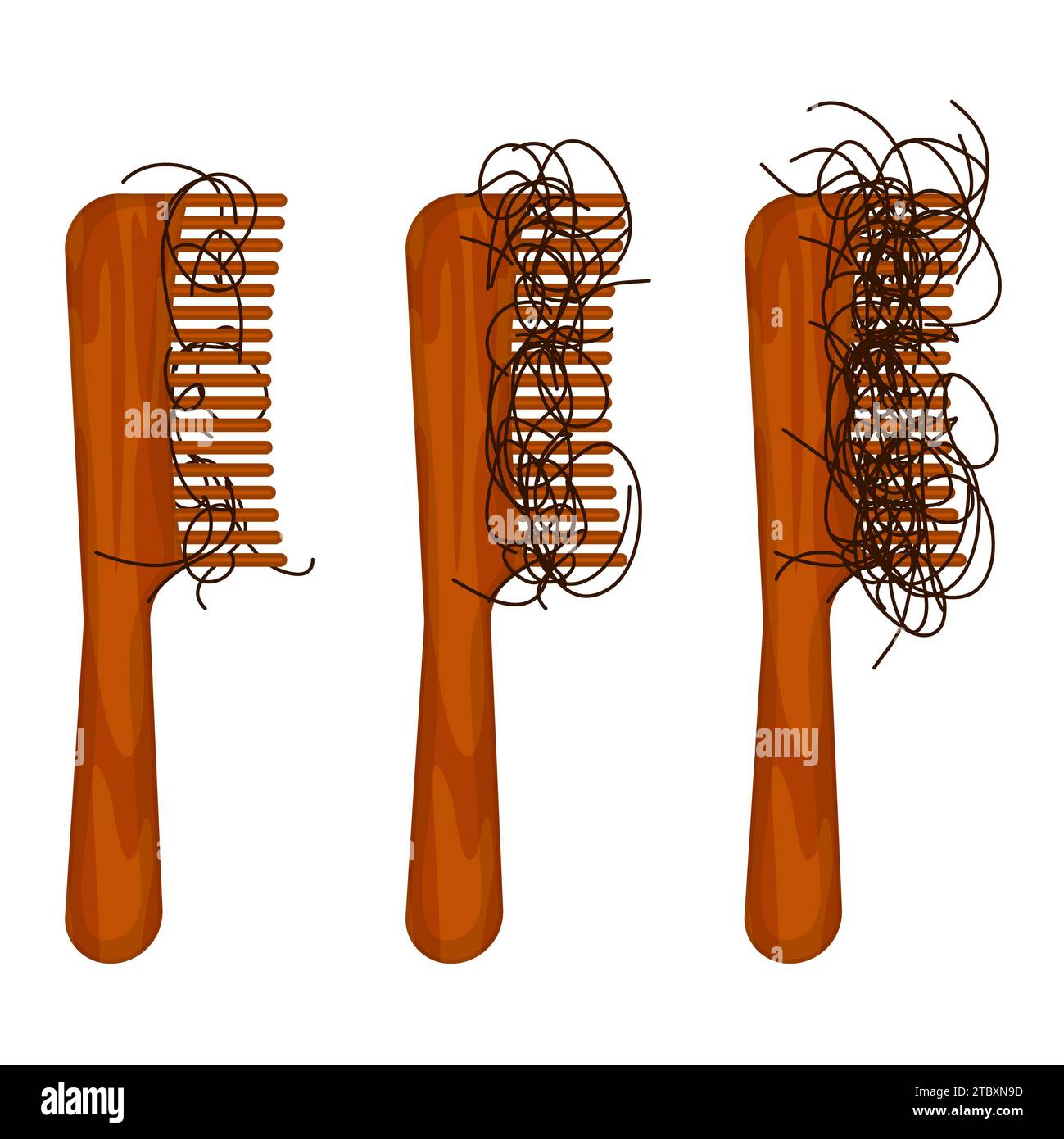 Hair loss, conceptual illustration Stock Photo