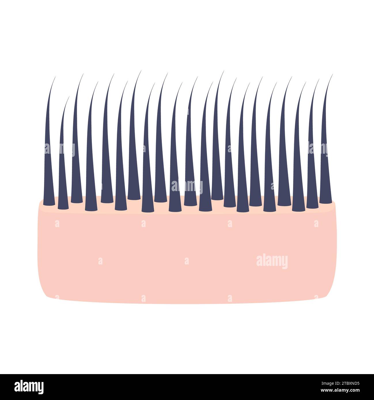 Thick hair, conceptual illustration Stock Photo Alamy