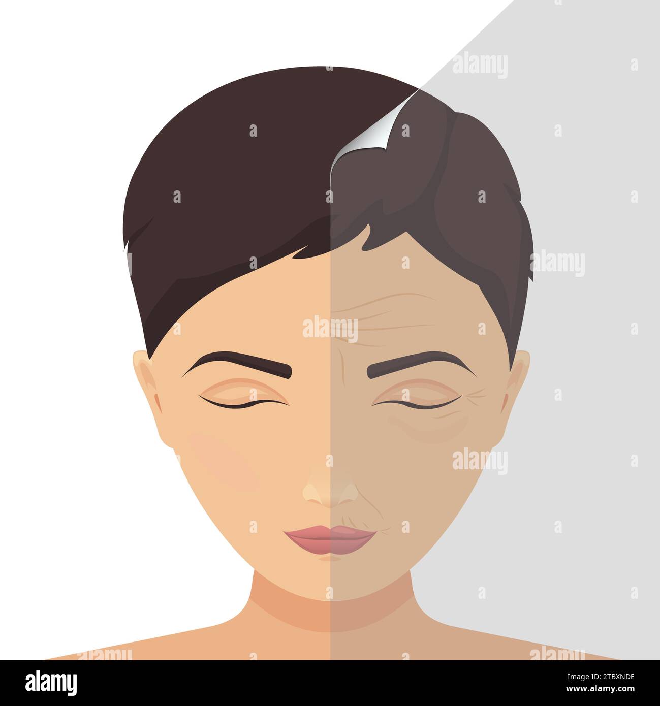 Beauty treatment, conceptual illustration Stock Photo
